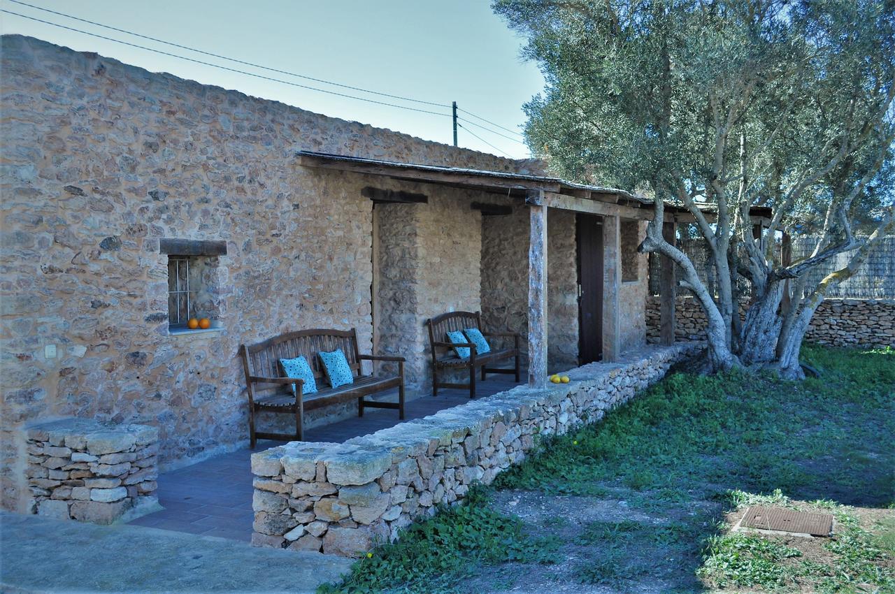 Siamoformentera Analissa